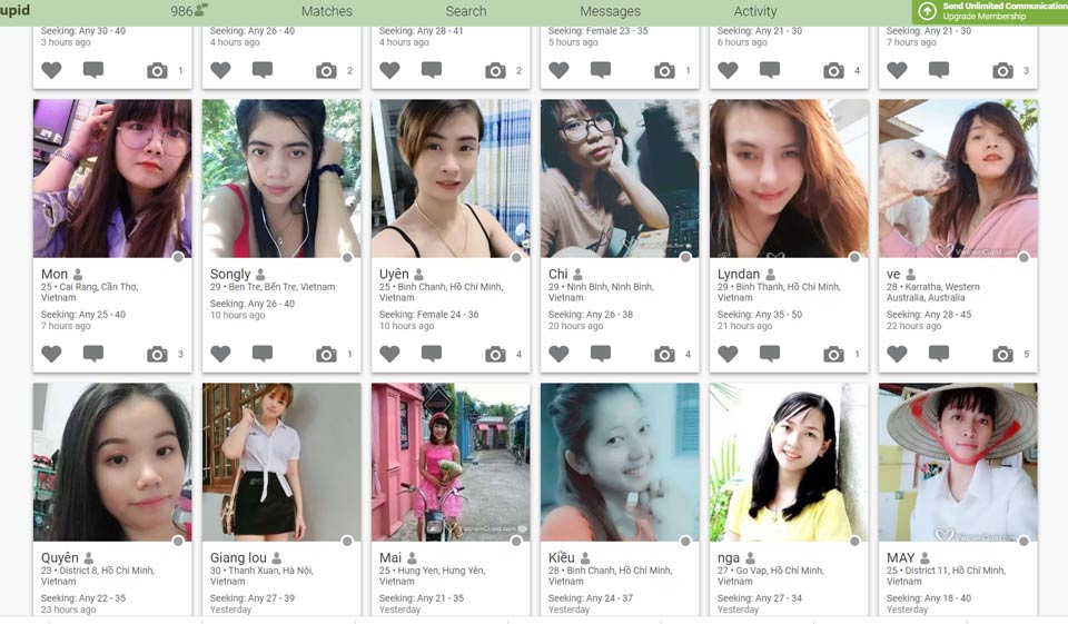 VietnamCupid Dating Website Features