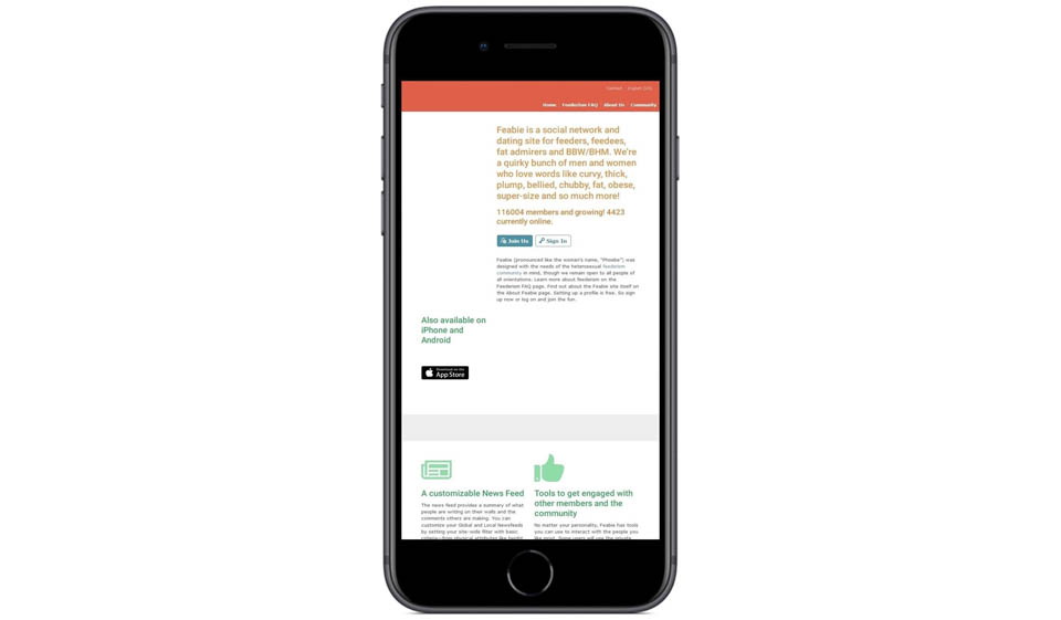 Profile Interface