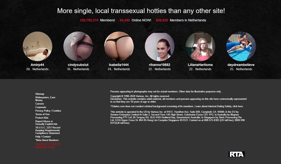 TSDates Dating Website Features