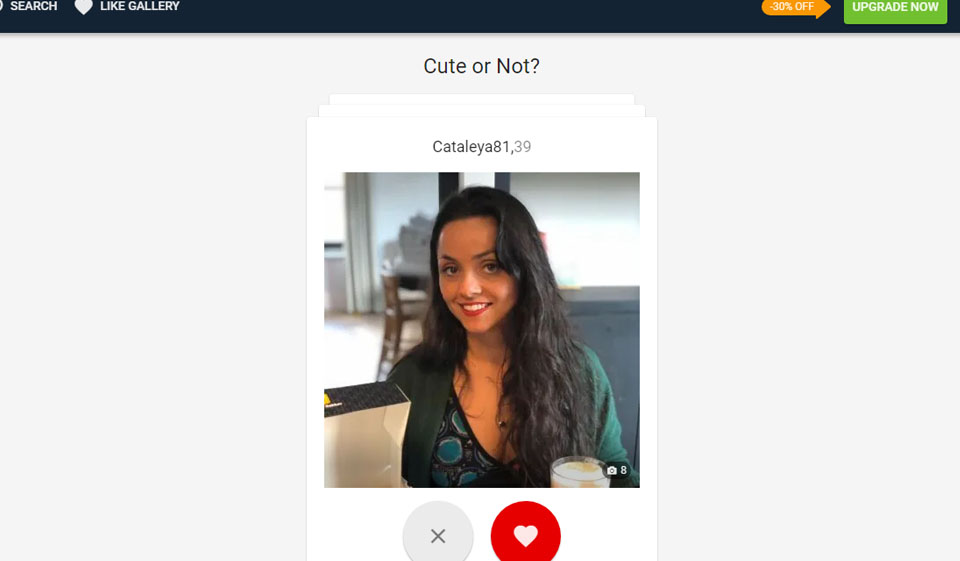 UpForIt Dating Website Features